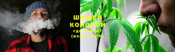 ГАЛЛЮЦИНОГЕННЫЕ ГРИБЫ Богородицк