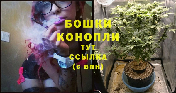 ECSTASY Белокуриха