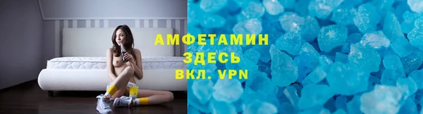 шишки Бородино