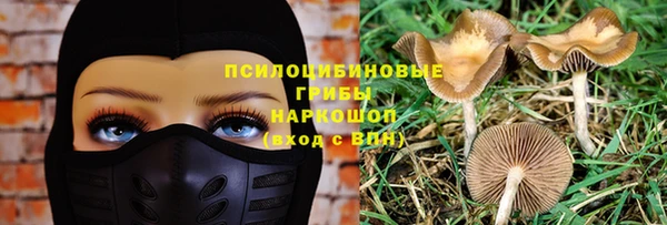 молекула духа Беломорск