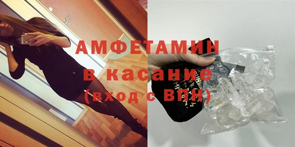 шишки Бородино