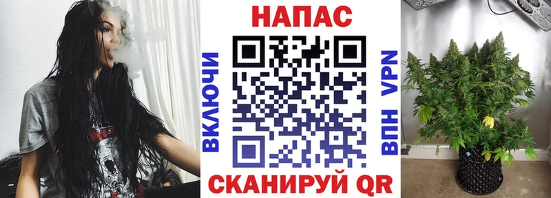 Шишки марихуана сатива  Балашов 